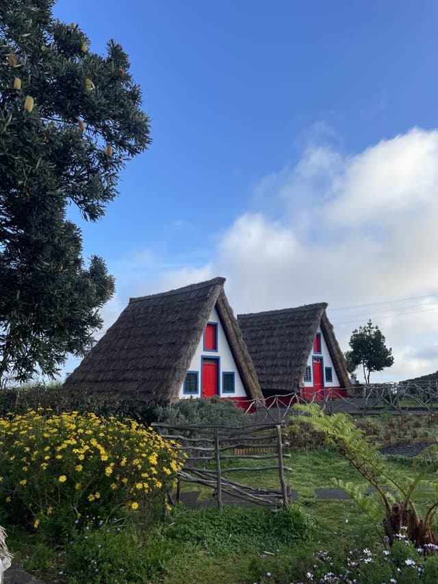 Foto 6 van Hanne V. (10-4-25)