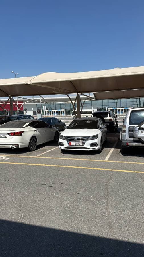 Photo 3 by Egor I. (11/8/24)