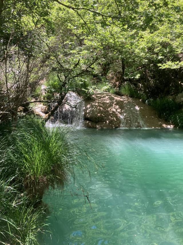 Foto 3 van J.G.C. V. (17-5-25)