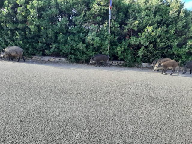 Fotografia 4 realizată de Carmen P. (23.09.22)