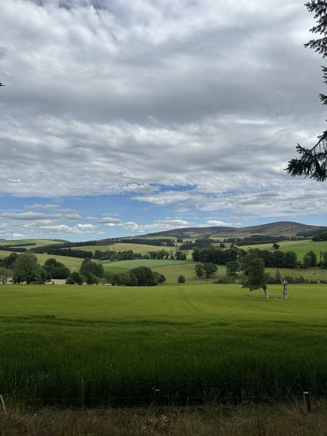 Photo 3 by Silje M. about renting a Vauxhall Corsa in the United Kingdom (7/11/25)