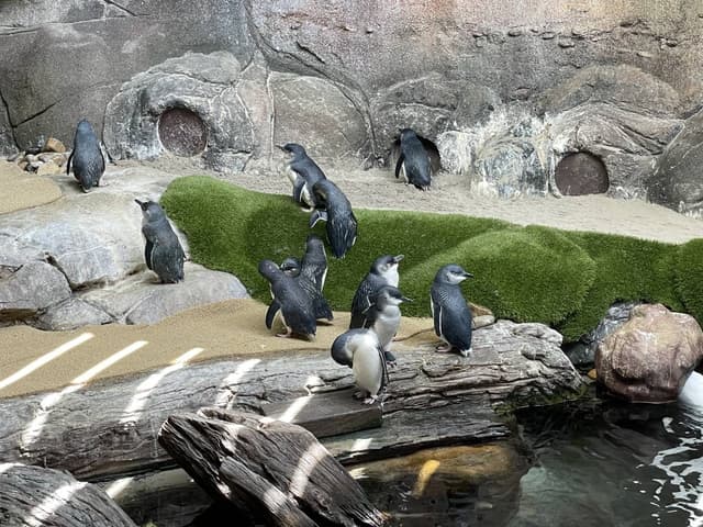 Photo 5 by Peminda J. (12/2/23)