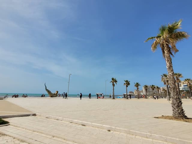 Foto 7 di FEDERICA F. (02/04/24)