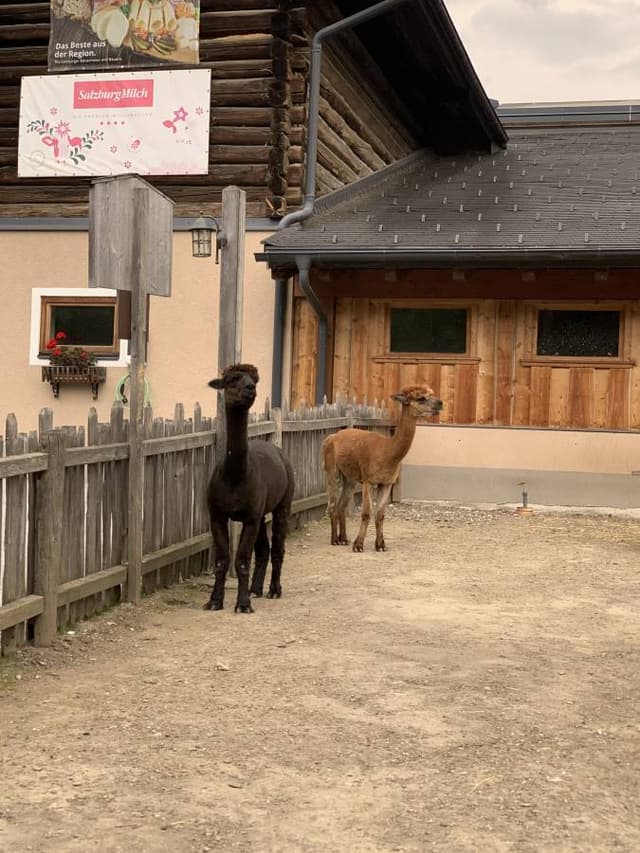 صورة 3 بواسطة Nada M. (28/8/25)