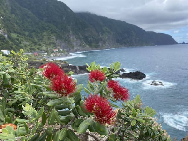 Foto 10 van Gilbert G. (6-8-24)