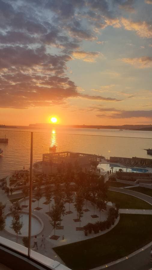 Photo 2 by Robin P. (5/28/26)