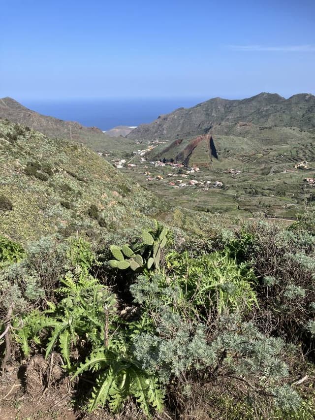 Photo 4 by John S. about renting a Citroen C3 in Tenerife (11/29/23)