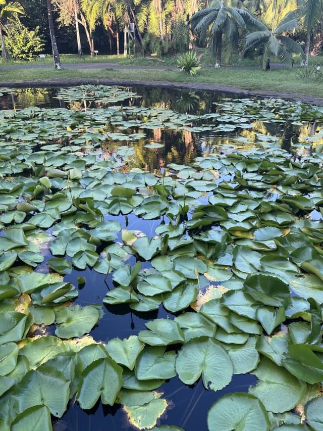 Photo by halil K. (4/10/26)