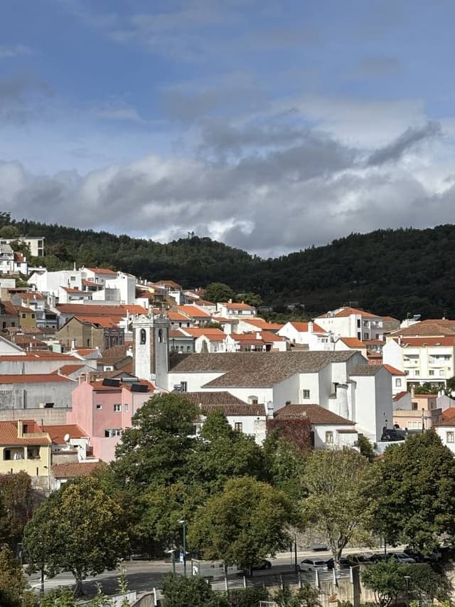 Foto 4 van Debbie S. (4-11-25)