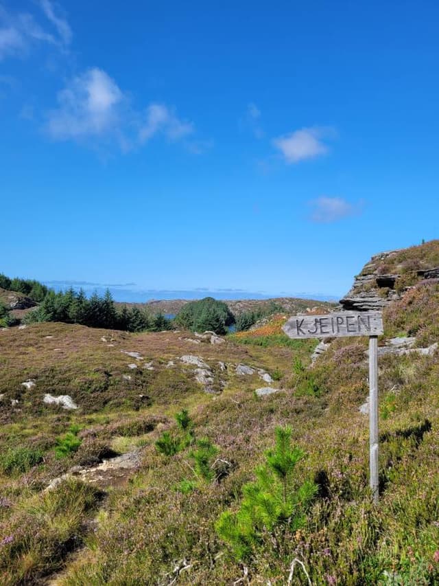 Photo 2 by Filip S. (9/6/23)