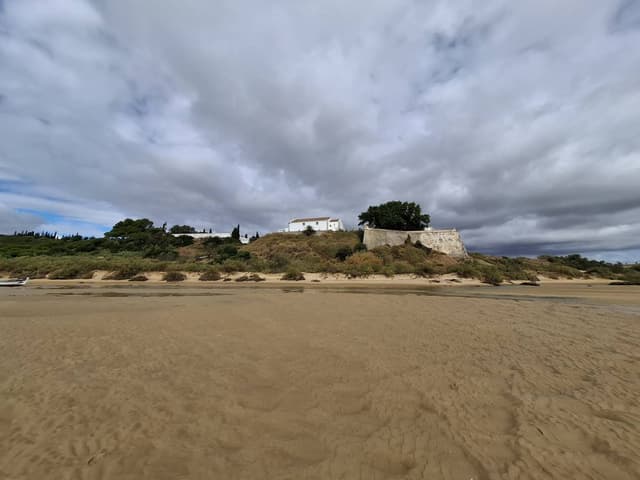 Foto 4 van petrus M. (25-10-25)