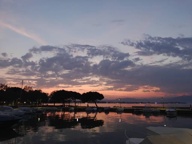 Photo 6 by Jari H. (6/2/26)