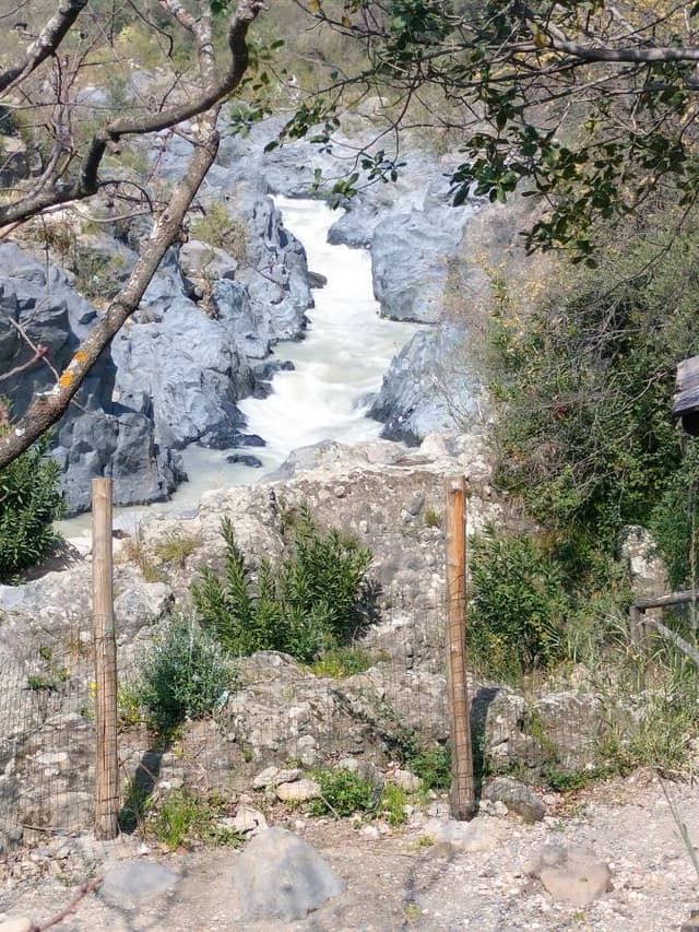 Fotografia 4 realizată de George I. (19.03.26)