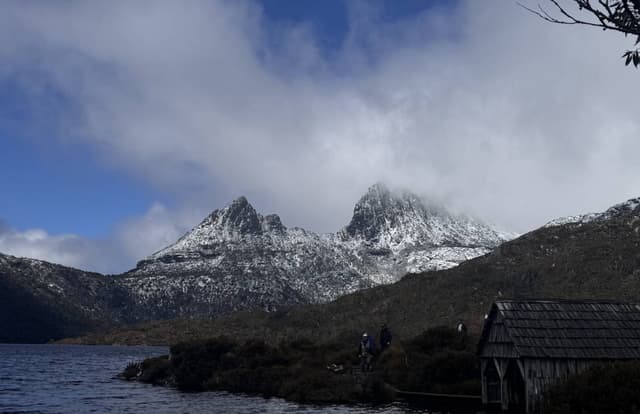 由NanHao J.提供(25/11/16)