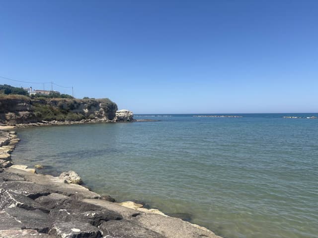 Foto 5 di Giampietro S. (25/06/26)