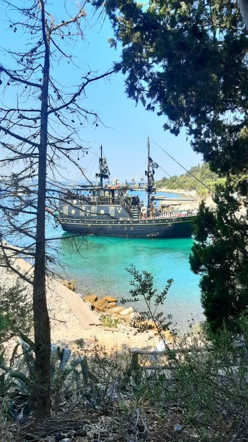 Foto 5 di Paola Michela R. (04/08/24)