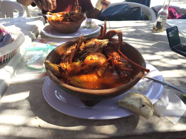 Foto 15 de Jose David R. (9/3/26)