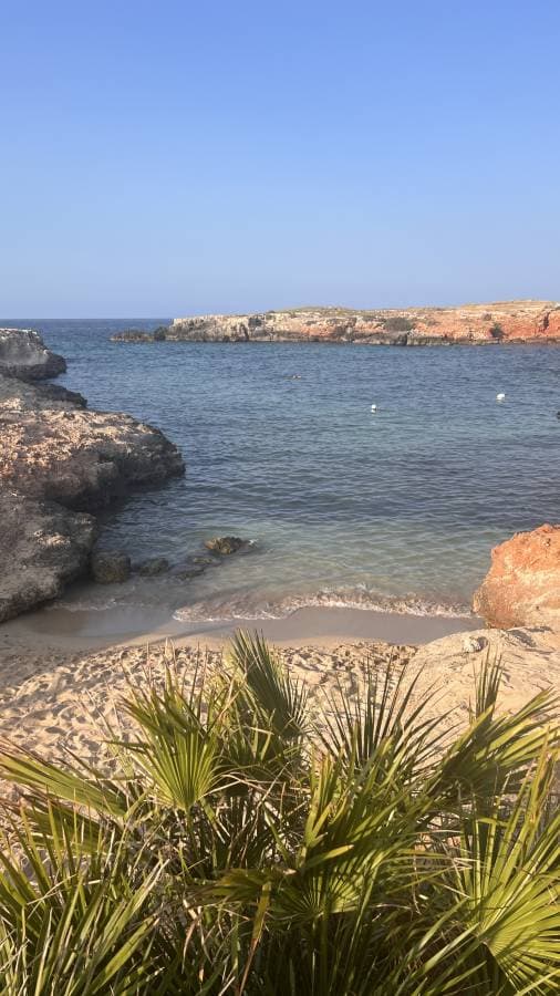 Photo by Miu Lin K. about renting a Citroen C3 in Brindisi (6/23/25)