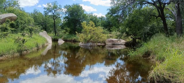 Billede 3 af Niels Birk Amdi I. (21.2.26)