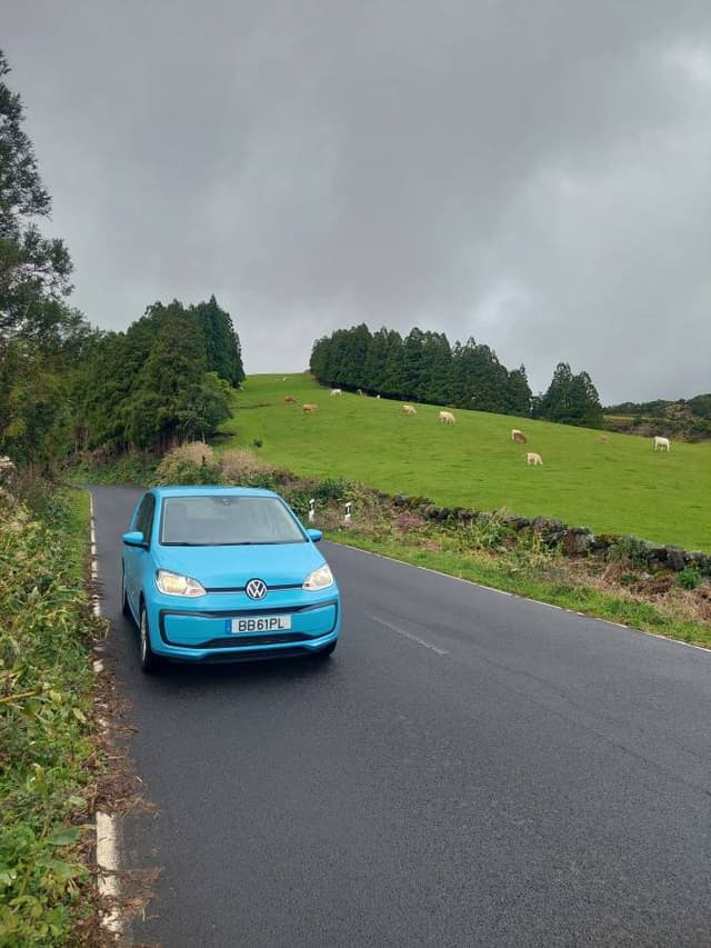 Foto 7 de Ricardo S. (19/03/26)