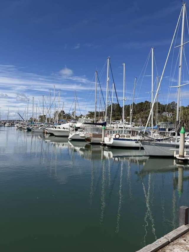 Photo 1 by Diego S. (4/3/26)