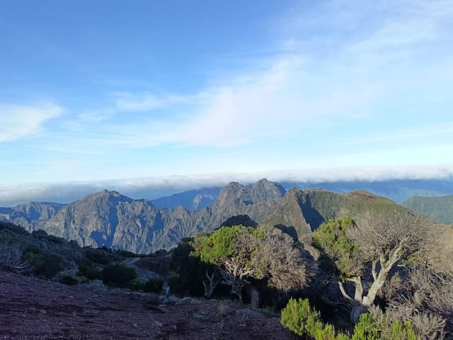 Zdjęcie 4 wykonane przez Matylda L. (2.11.25)