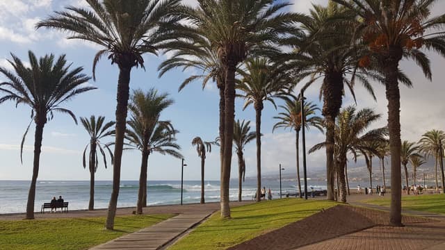 Photo 7 by Roman K. about renting a Citroen C3 at Tenerife Airport South (10/13/24)