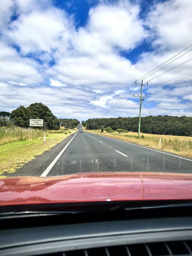 照片4,由SHAN W.提供(25/1/30)