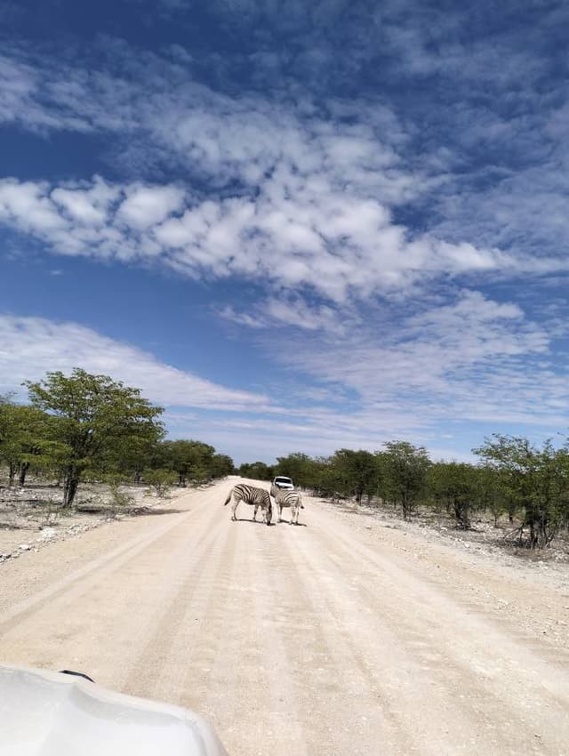 Foto 5 de JOSE ANTONIO M. (10/1/24)