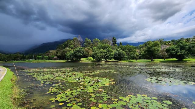 Photo 6 by IMRAN JONATHAN EDWARD P. (11/10/24)