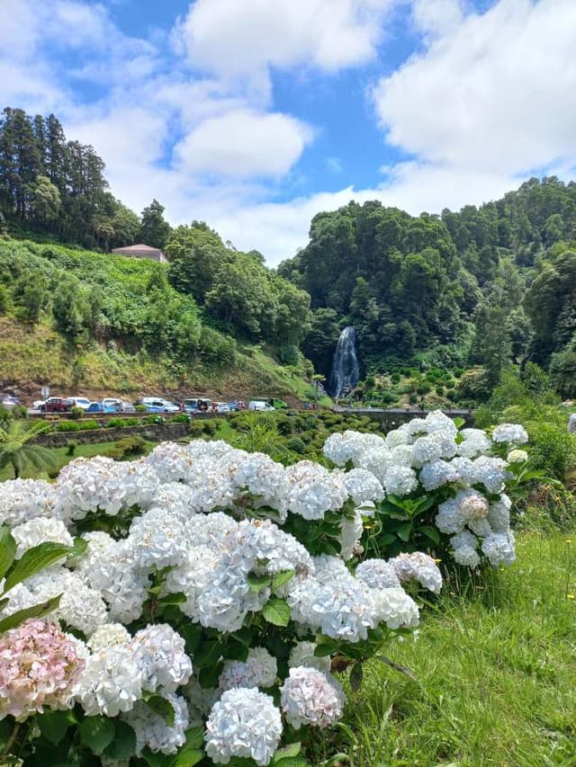 Foto 3 van Janet W. (5-7-24)