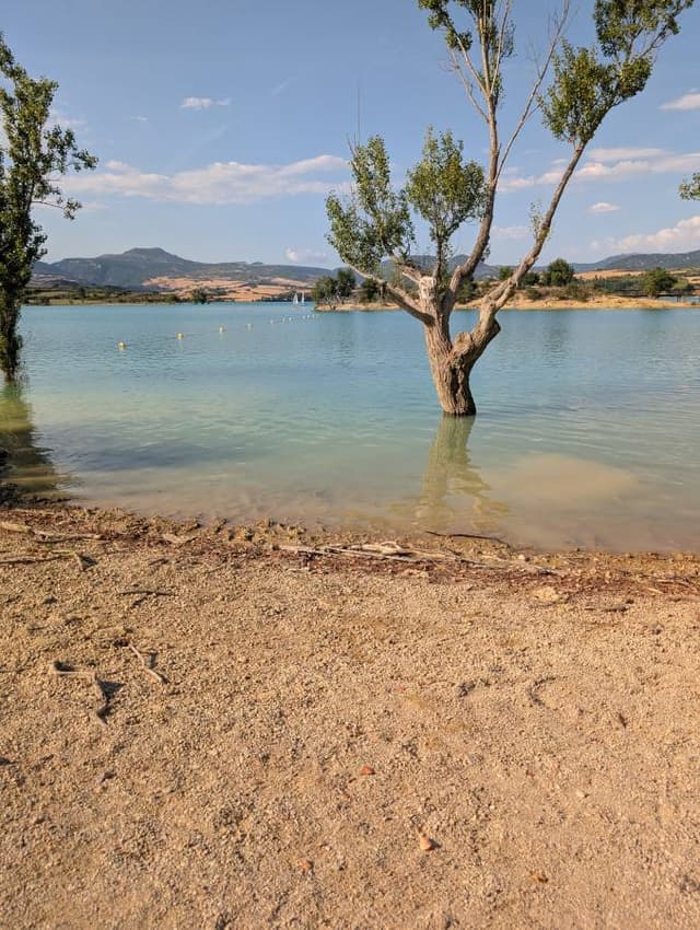 Photo 3 by Martins F. (7/4/26)