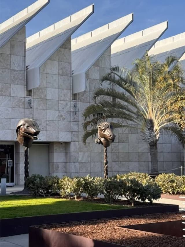 Photo 3 by Fay H. (1/27/24)