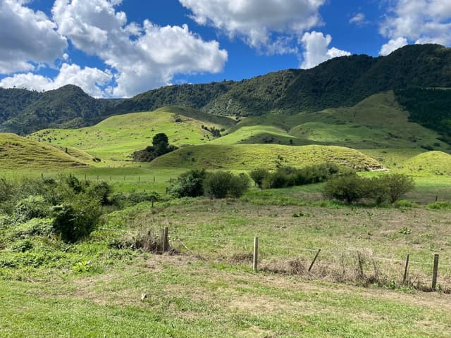 Foto 3 van Elisah M. (17-3-23)