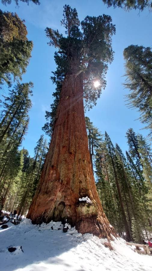 Photo 7 par Guillaume B. sur la location d'un Nissan Rogue à l'aéroport de Las Vegas (21/04/24)