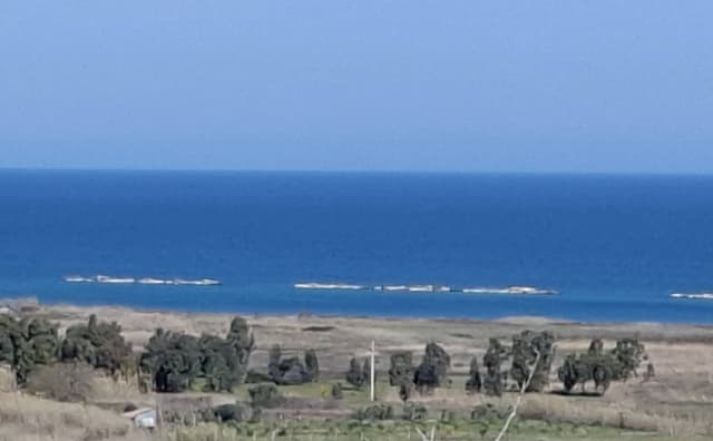 Foto 4 van Rosita Cornelia D. (21-3-26)