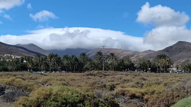 Photo 3 par MARC S. sur la location d'un Fiat 500 en Espagne - aux Îles Canaries (03/09/25)