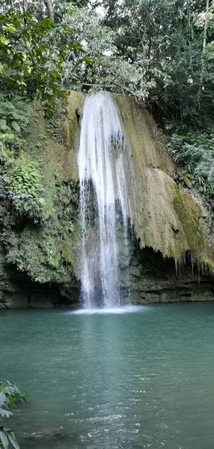 Photo 4 par Patrick L. (22/03/24)