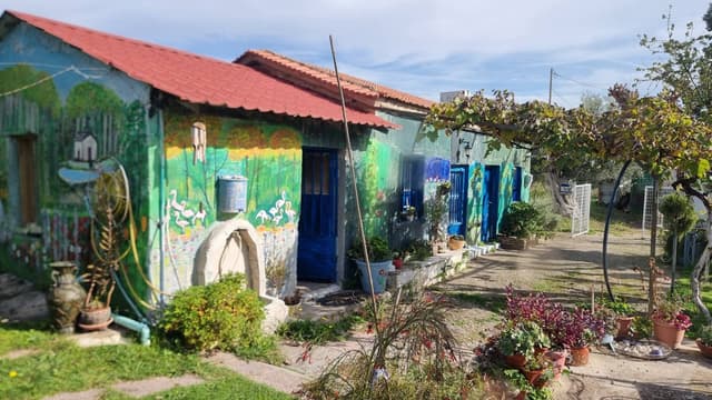 Photo 3 by Elaine B. (11/24/25)