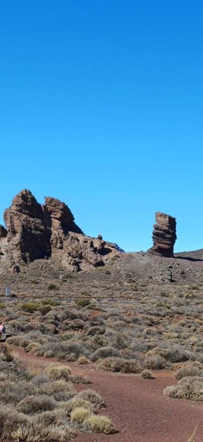 Foto 6 von Tiku Hanne Maria A. (26.10.25)