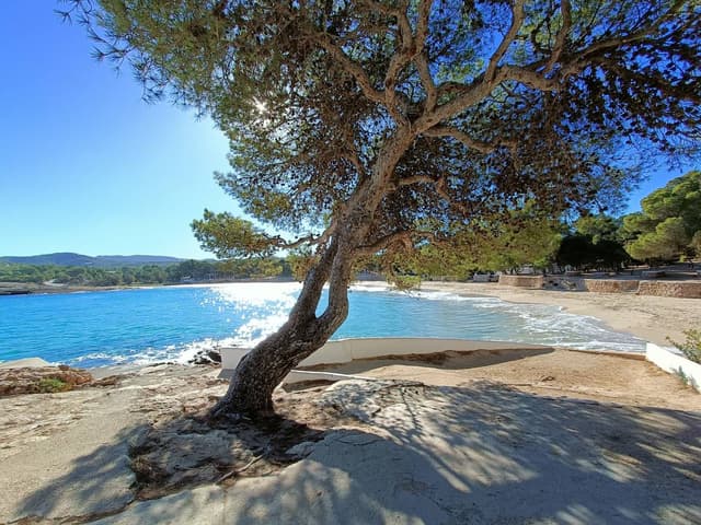 Zdjęcie 3 wykonane przez Nina P. dotyczące wynajmu Fiat 500 Cabrio w w Hiszpanii - Baleary dnia (16.12.23)