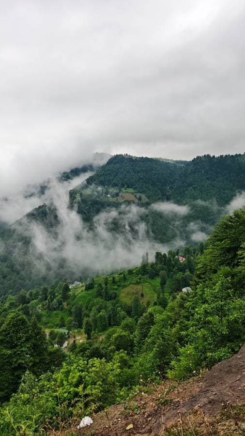 صورة 7 بواسطة IBRAHEEM A. (22/7/25)