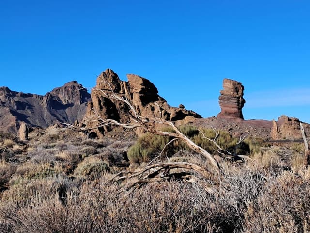 Foto 11 di PAOLO T. (14/02/26)