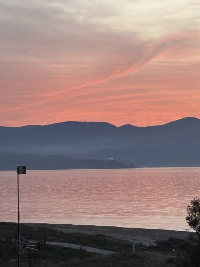 Photo 7 by Teresa B. (5/9/26)