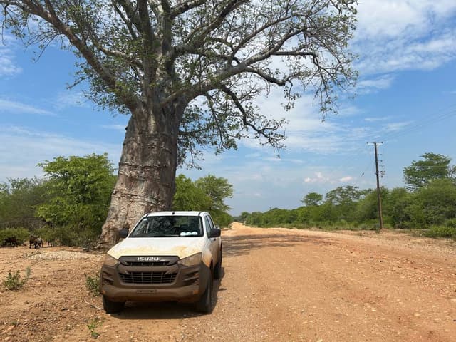 Photo by Romuald P. (12/3/23)