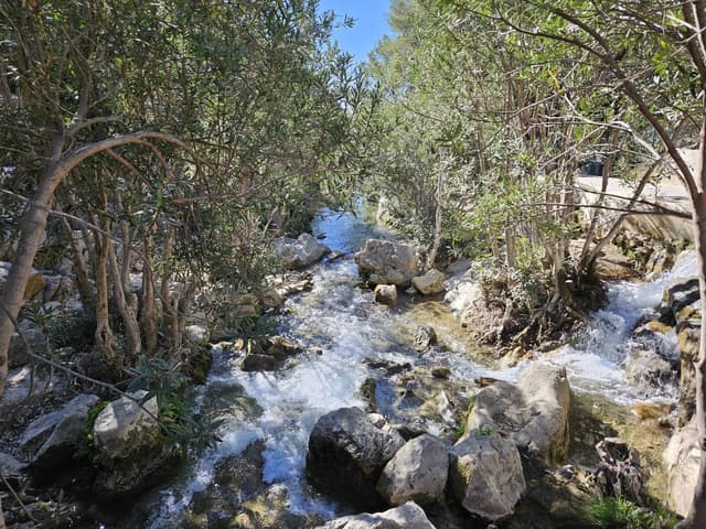 Photo 8 by Anatolijs A. about renting a Nissan Qashqai in Valencia (11/20/23)