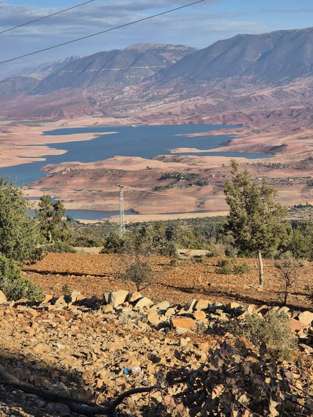 Zdjęcie 3 wykonane przez Karol S. (27.01.25)