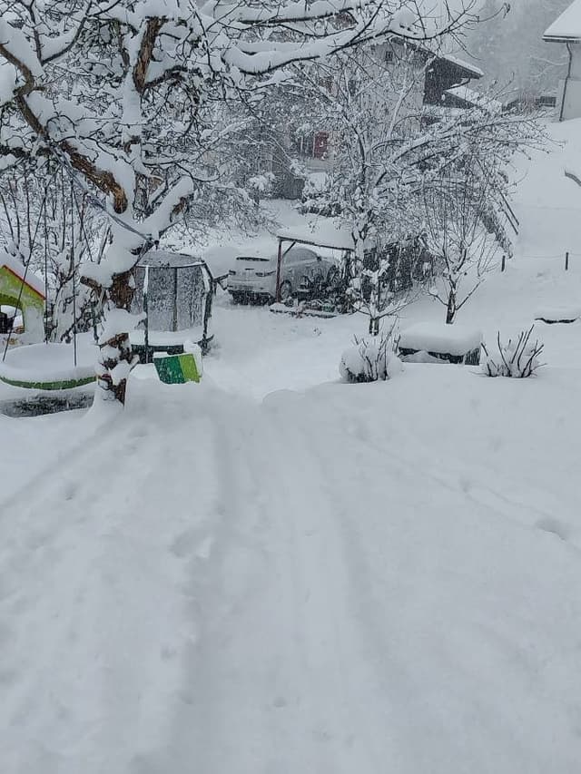 BANU I. tarafından 4 fotoğraf (24.11.25)