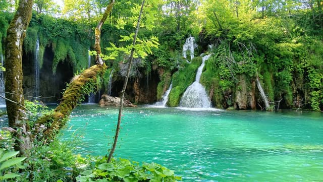 Zdjęcie 1 wykonane przez Dominika W. (13.08.25)