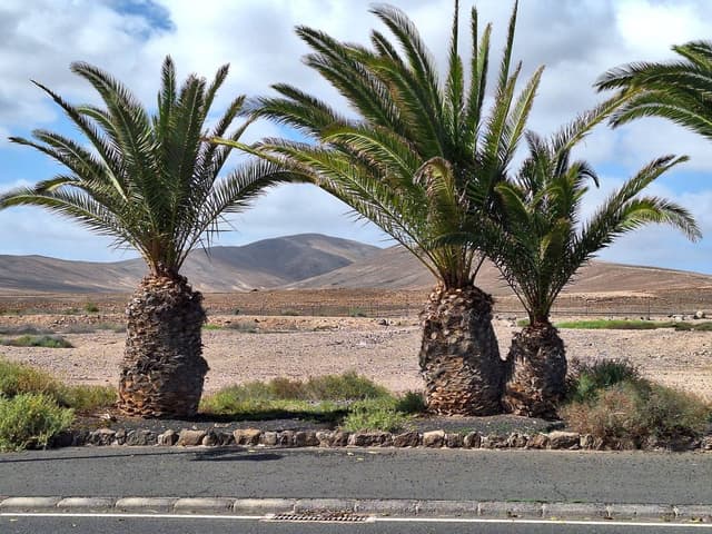 Foto 4 van RJH S. (8-2-26)